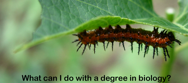 degree in biology